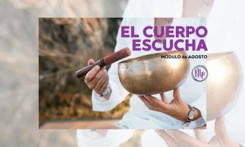 miniatura del curso